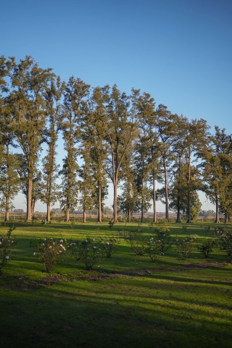 TERRENO EN VENTA BARRIO VILLA DE CAMPO TRES PINOS-GENERAL RODRIGUEZ-FINANCIACION