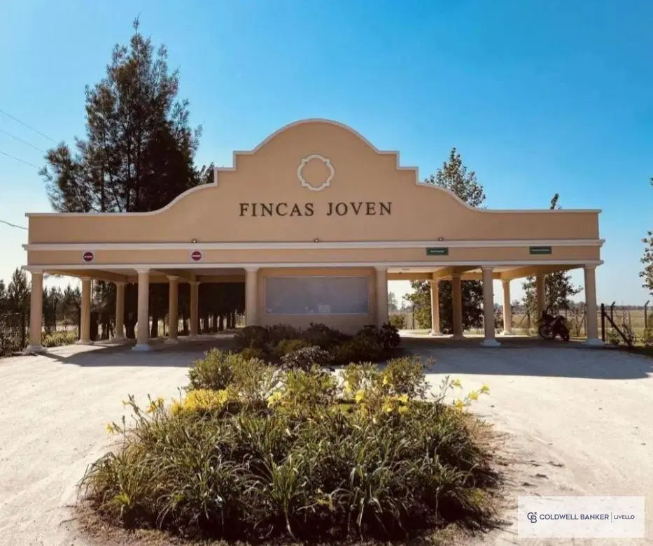 Terreno Fincas Joven San Vicente 3