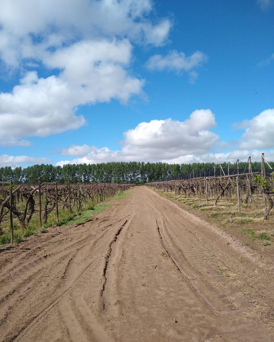 Gran Finca Viñeda 3