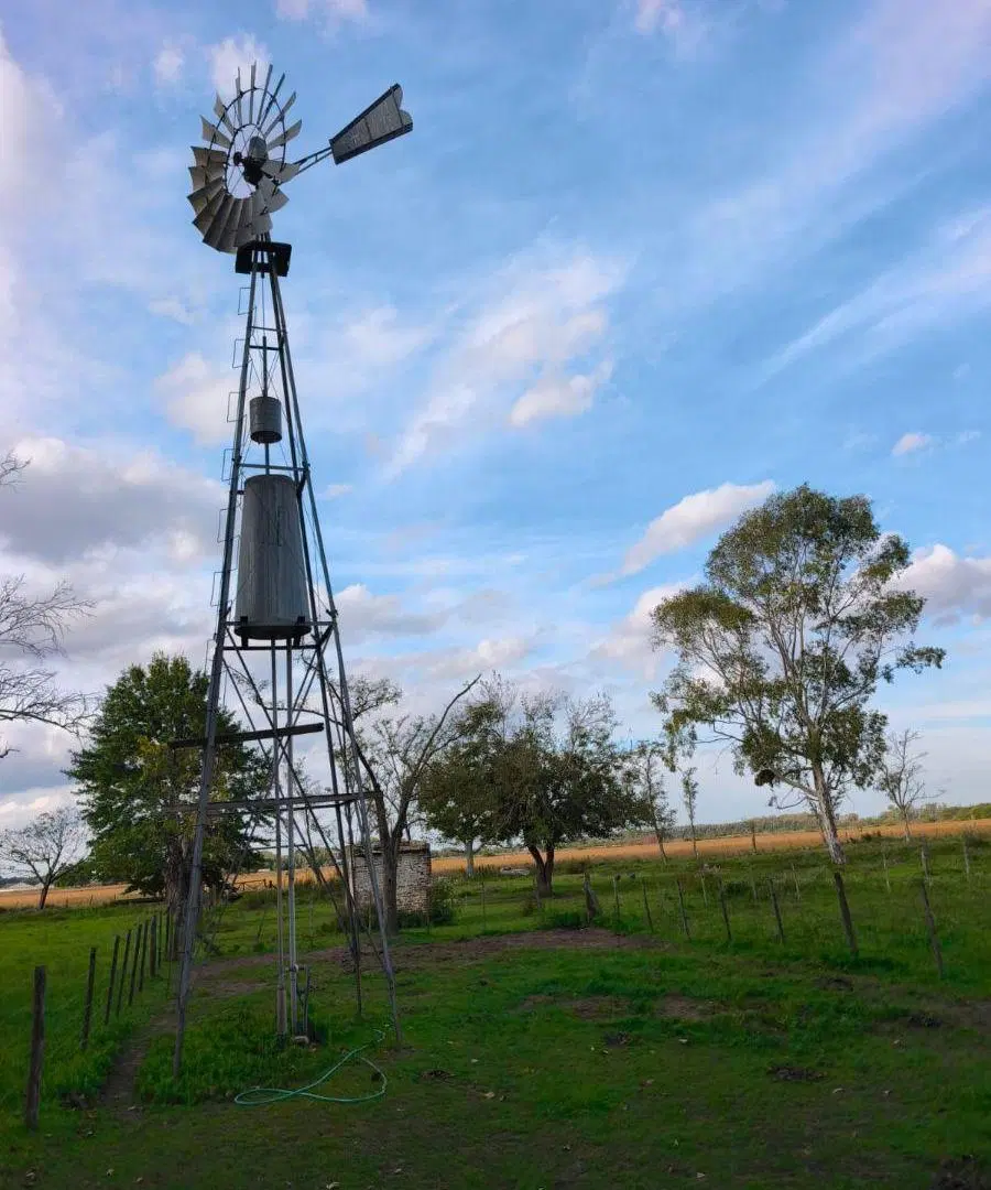 CAMPO AGRICOLA - 30 Ha Ubicación Privilegiada sobre Ruta 41 2