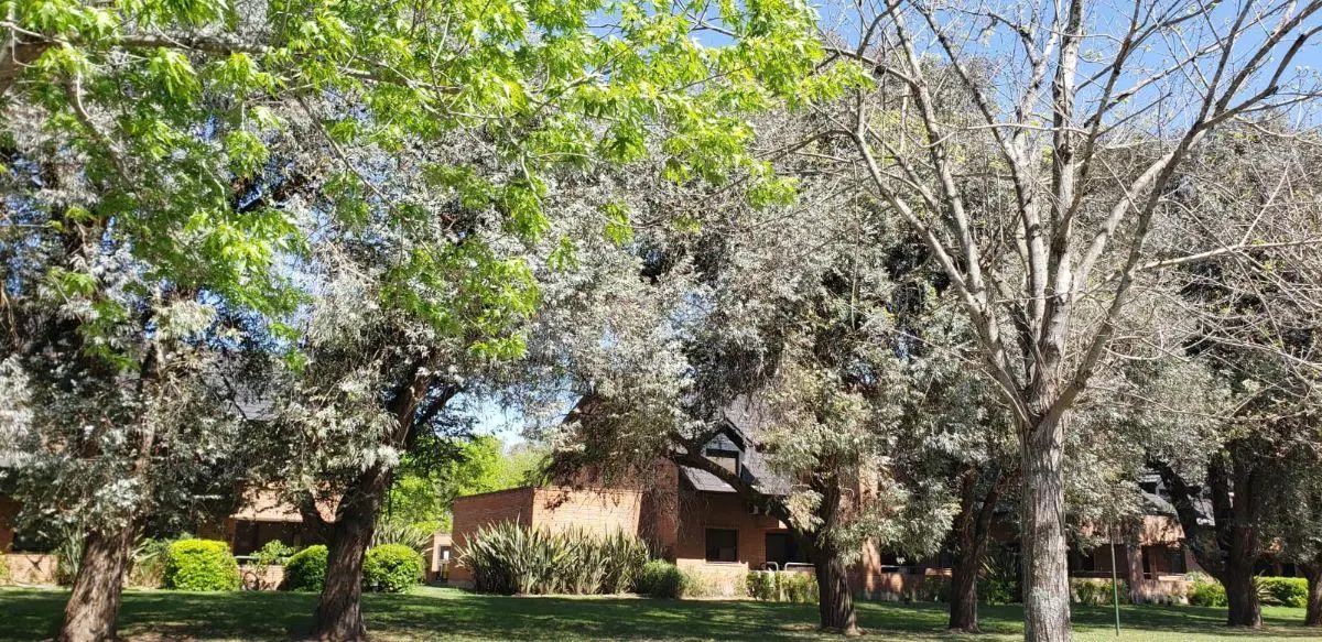 ALQUILER DORMY 3 AMBIENTES - MAYLING CLUB DE CAMPO 3