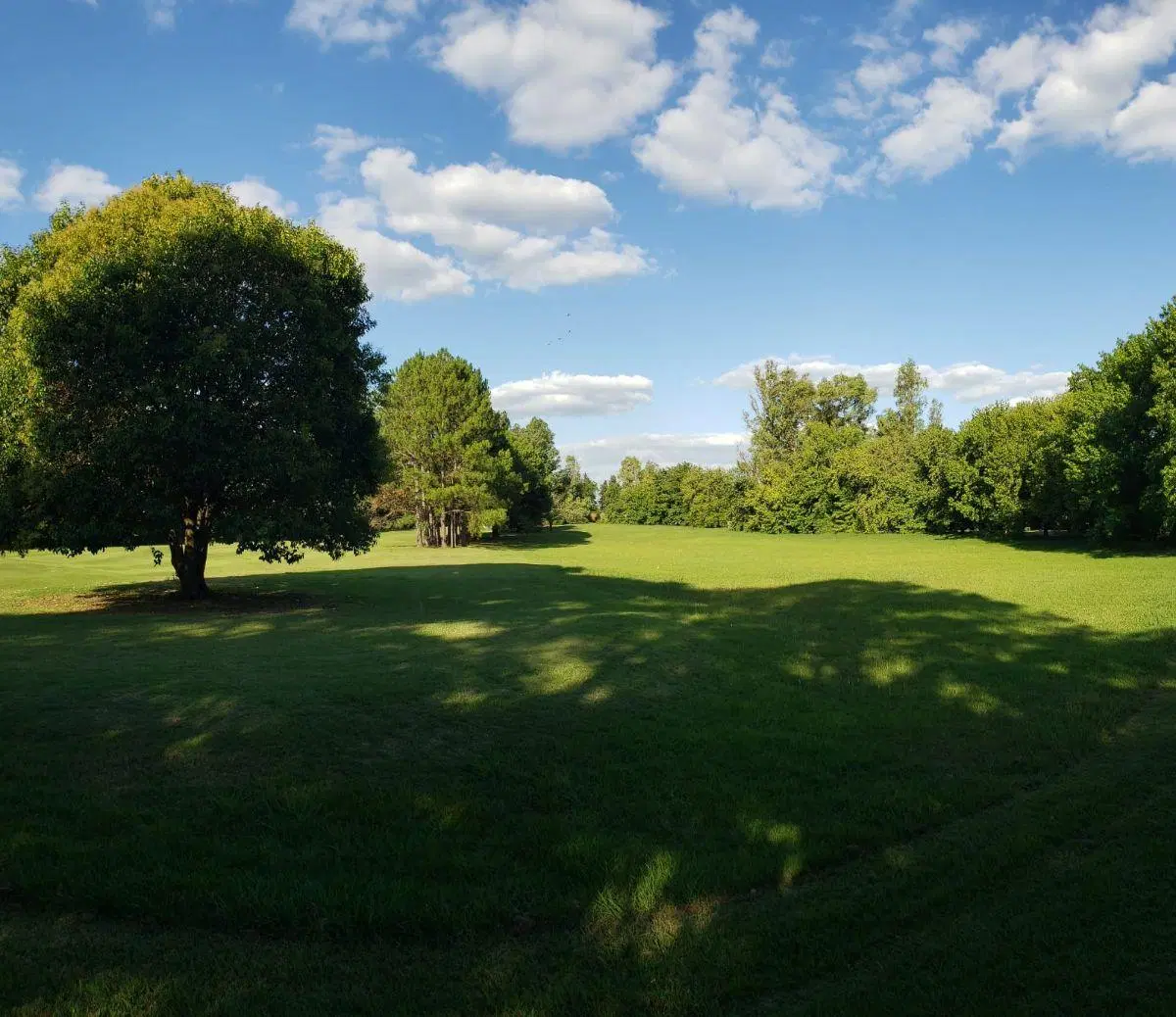 ALQUILER DORMY 3 AMBIENTES - MAYLING CLUB DE CAMPO 5