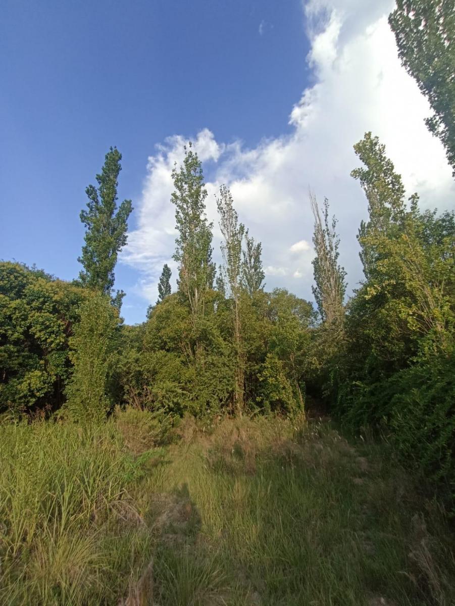 Se Vende! Casa con Acequia en Villa de Las Rosas, Traslasierra Cordoba 3