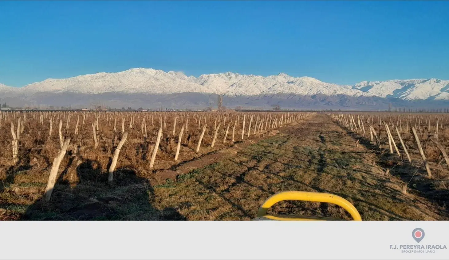 Venta de Finca en San Carlos - Valle de Uco - Mendoza 2