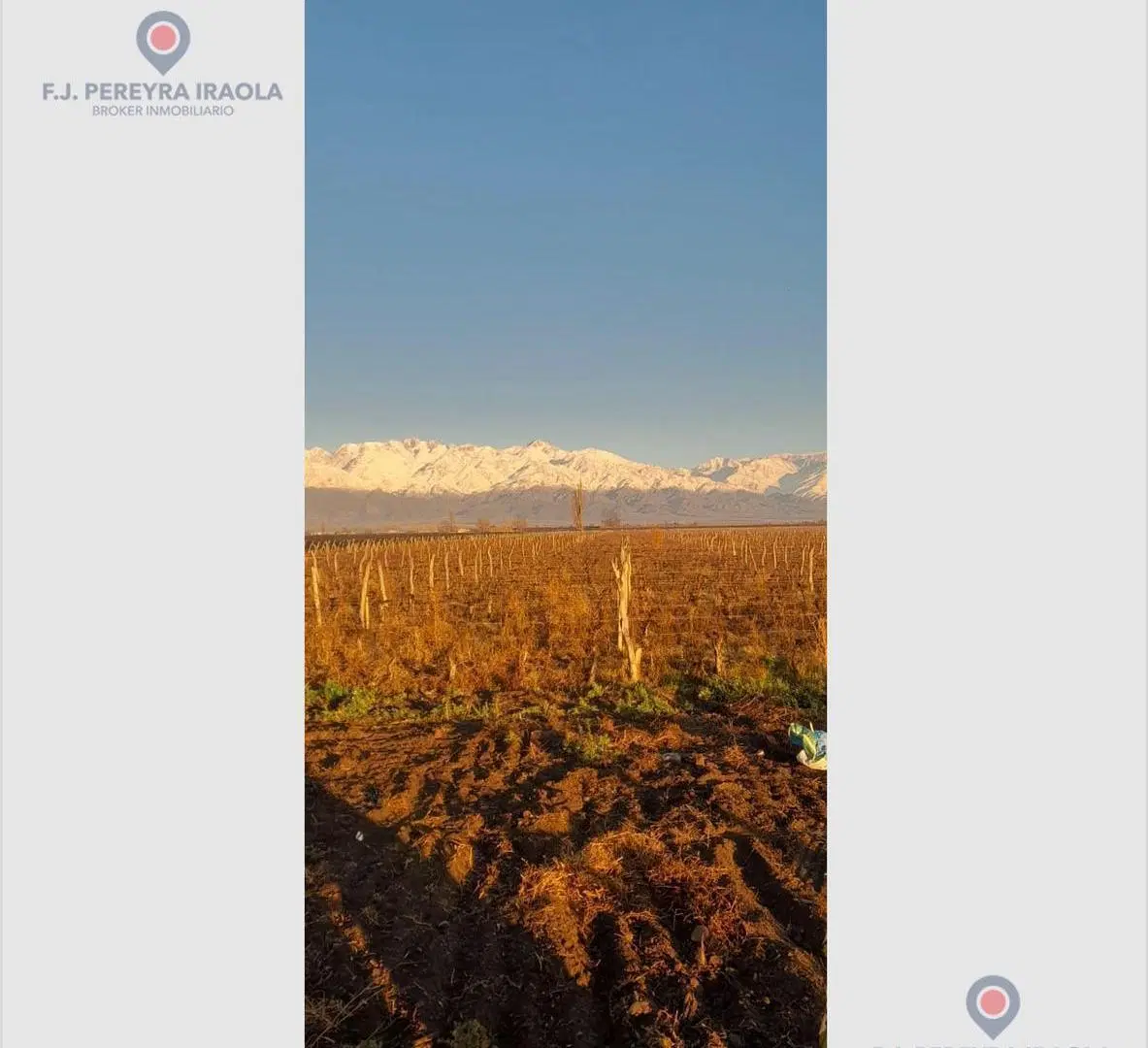 Venta de Finca en San Carlos - Valle de Uco - Mendoza 4