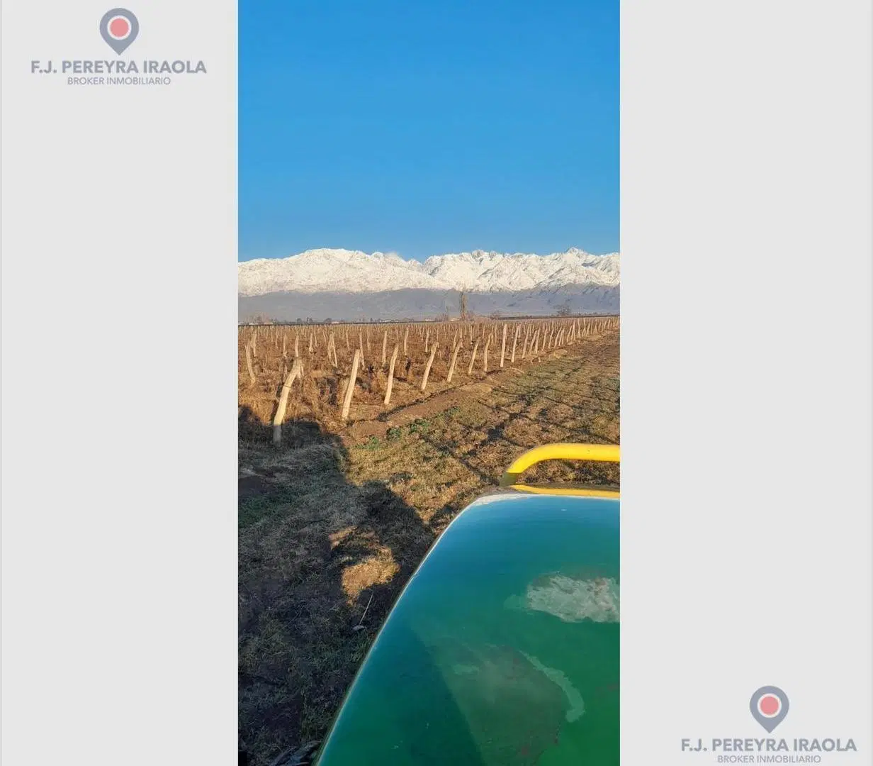 Venta de Finca en San Carlos - Valle de Uco - Mendoza 1