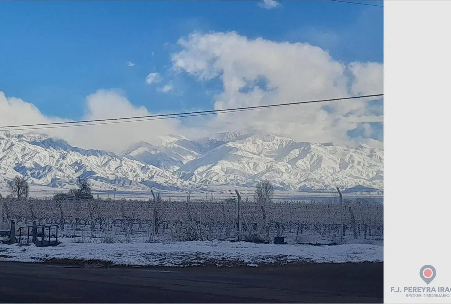 Venta de Finca en San Carlos - Valle de Uco - Mendoza 2