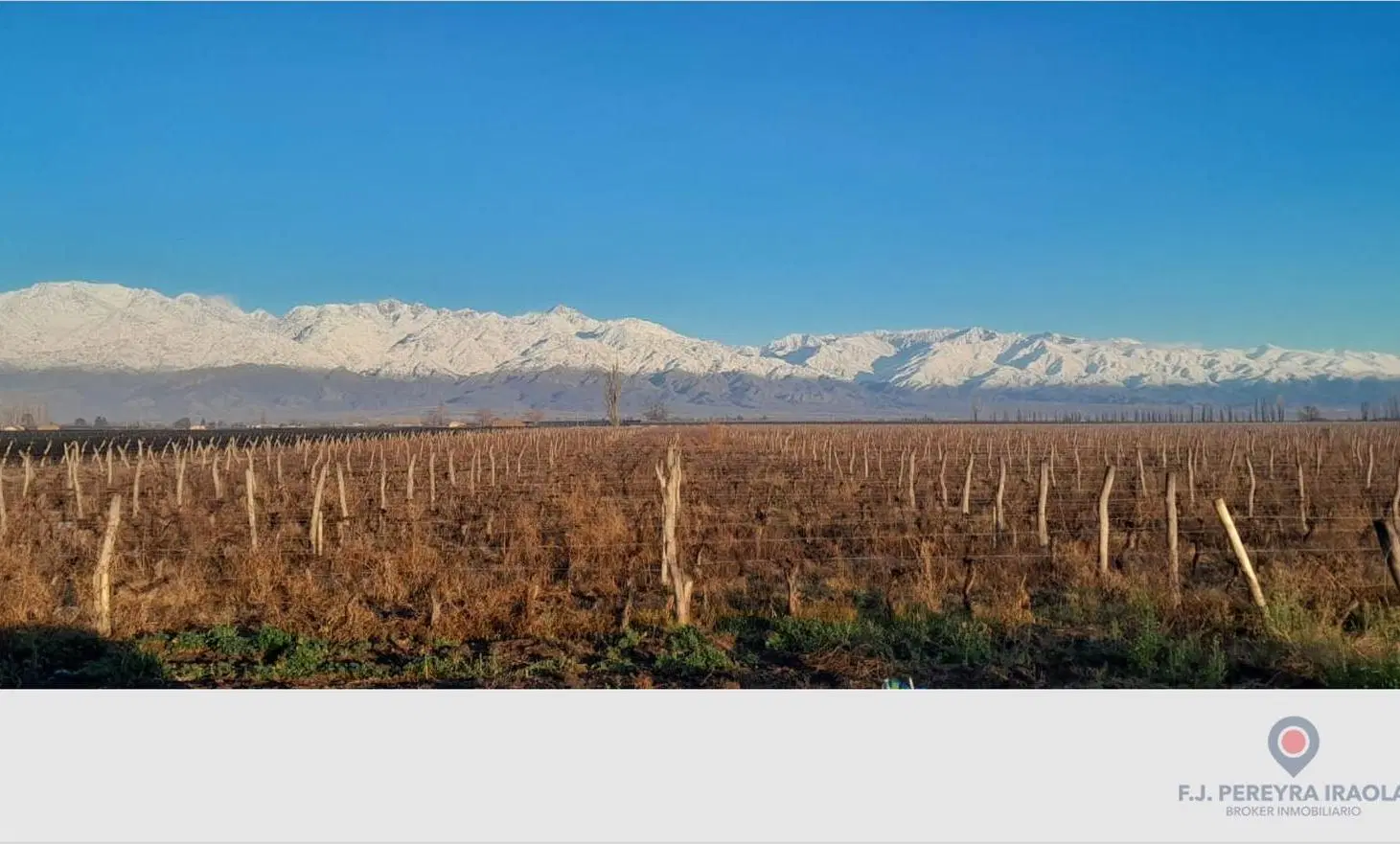 Venta de Finca en San Carlos - Valle de Uco - Mendoza 1