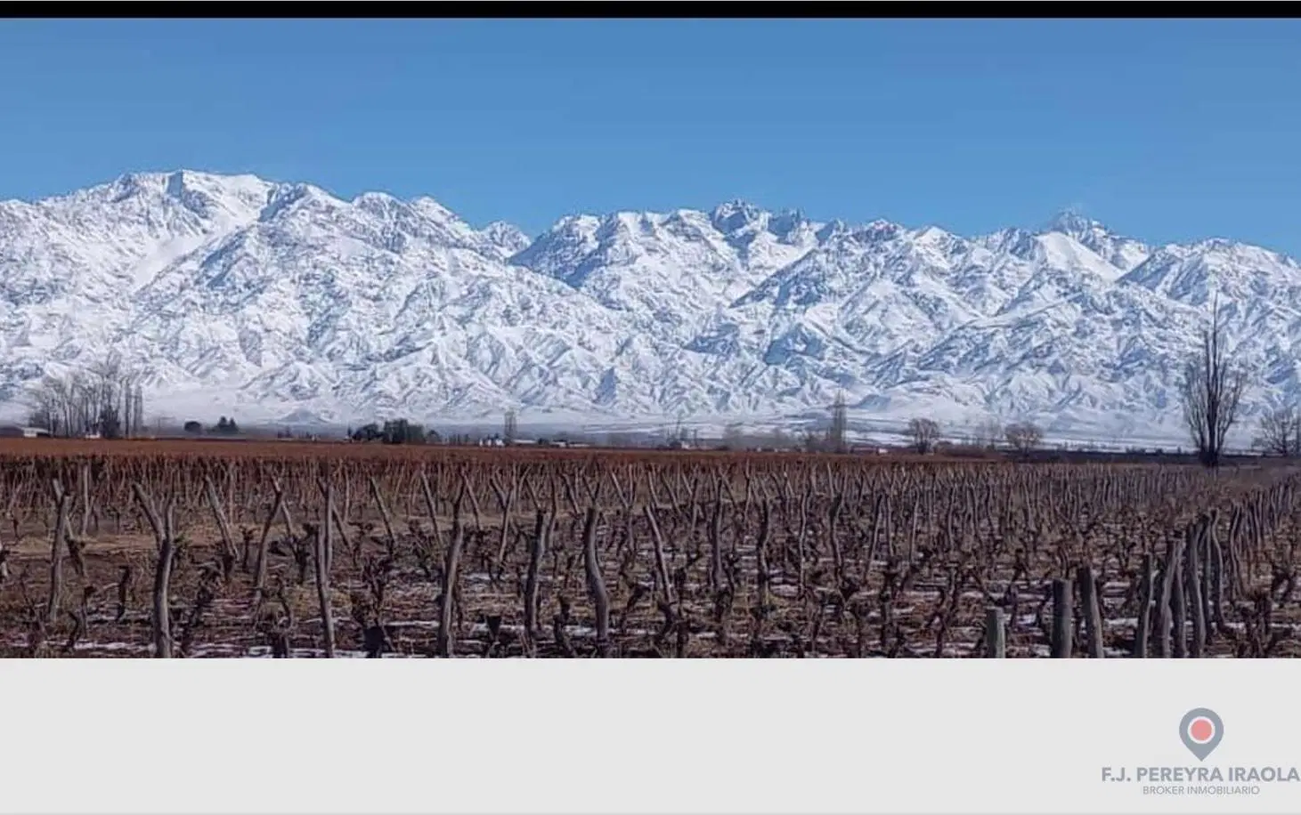 Venta de Finca en San Carlos - Valle de Uco - Mendoza 3