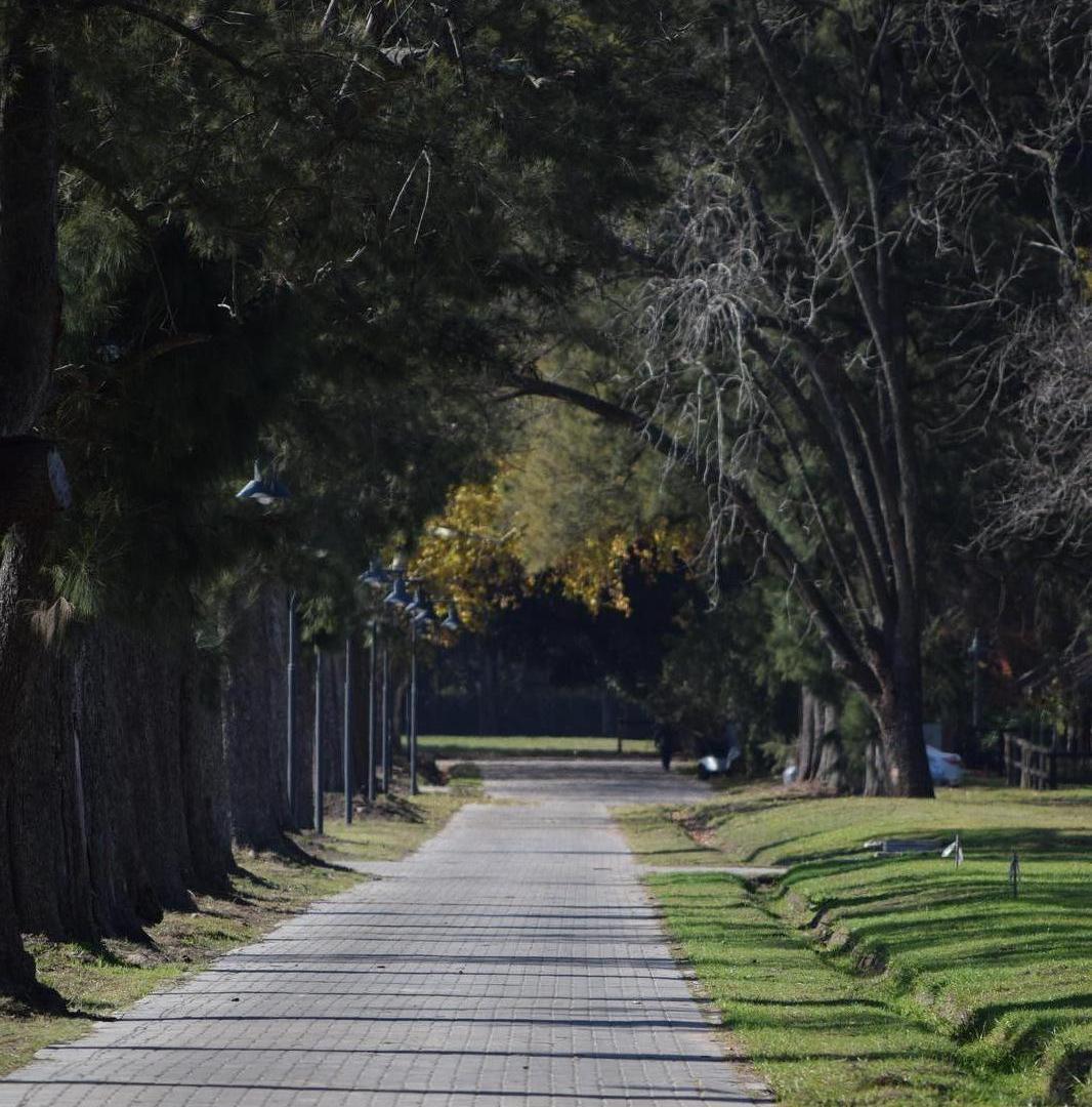 Foto de Terreno en Almahue, imagen 5