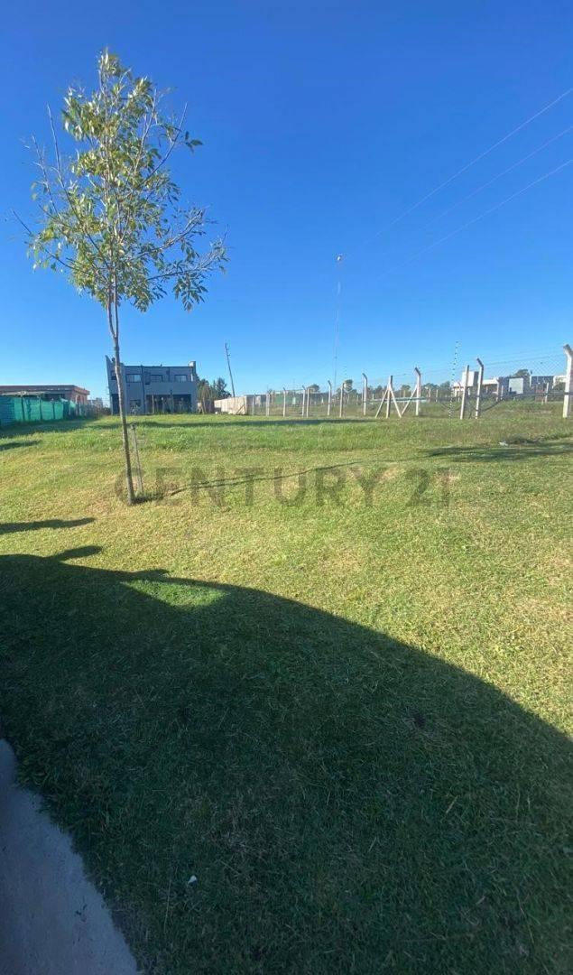 Lote en venta