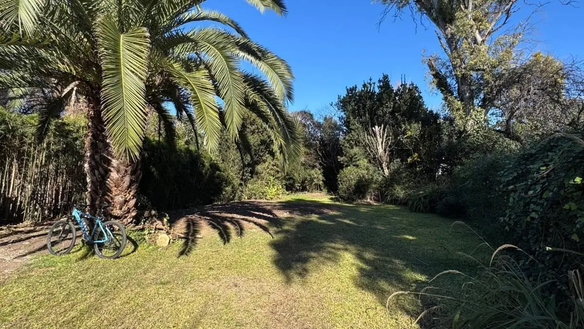 Bella Vista casa en alquiler 5