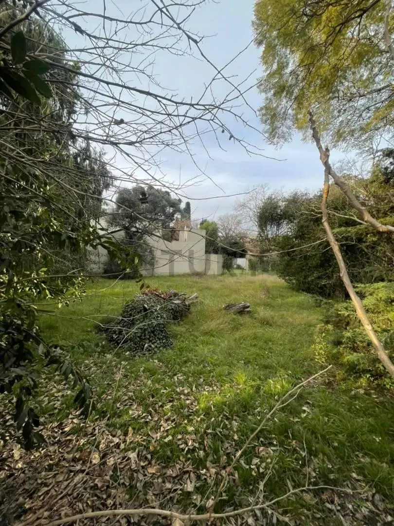 Terreno 2