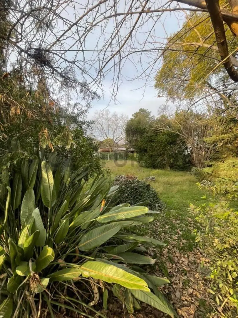 Terreno 1