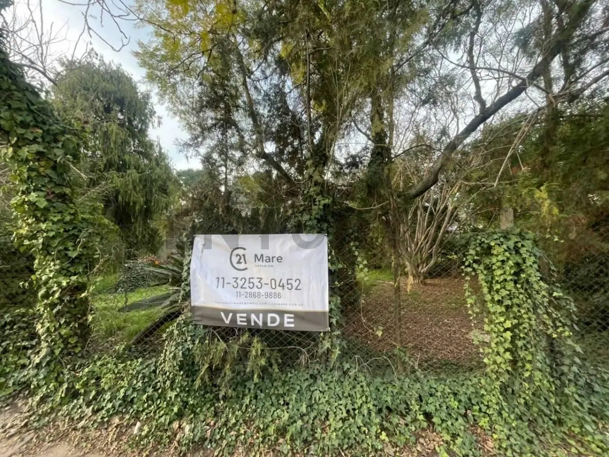 Terreno 5