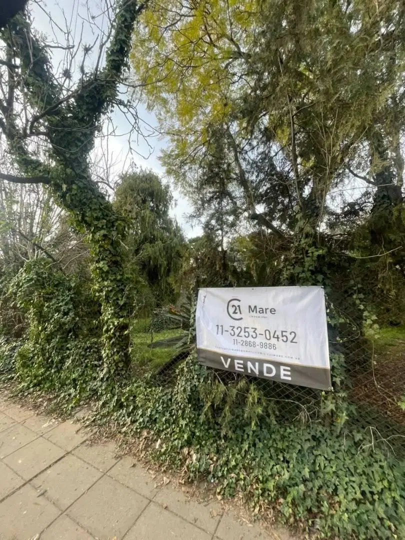 Terreno 3