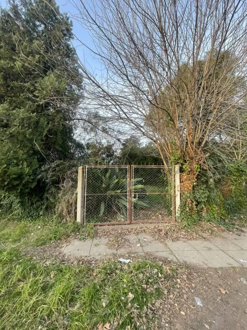 Terreno 4