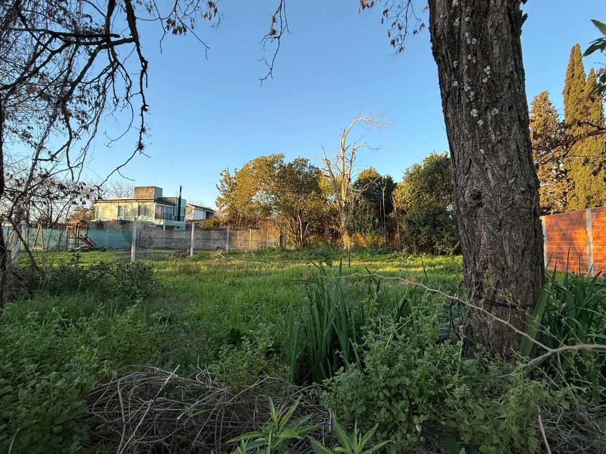 Foto de Lote en venta APTO CRÉDITO en Muñiz – 450 m² a la calle, imagen 4