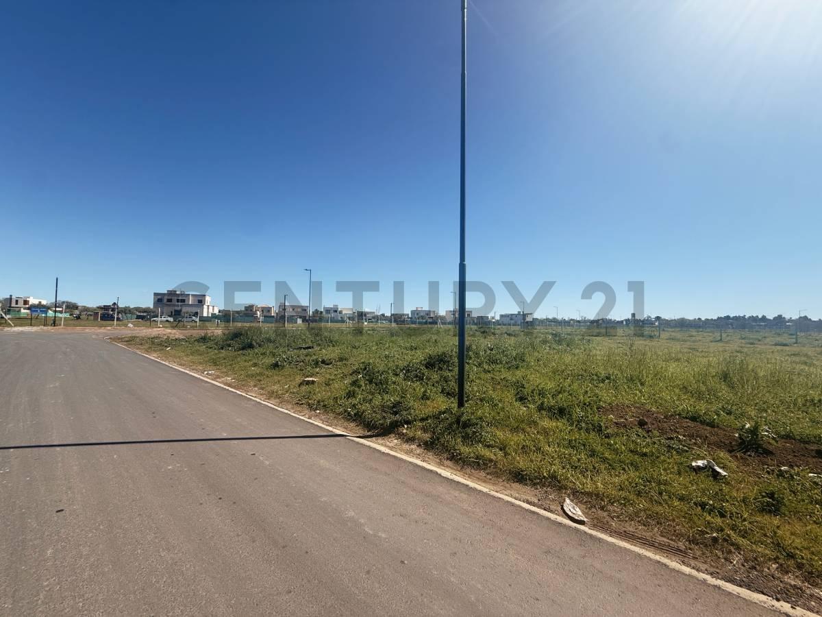 Foto de Lote en Venta, Pueblo Nuevo - Bella Vista, imagen 5