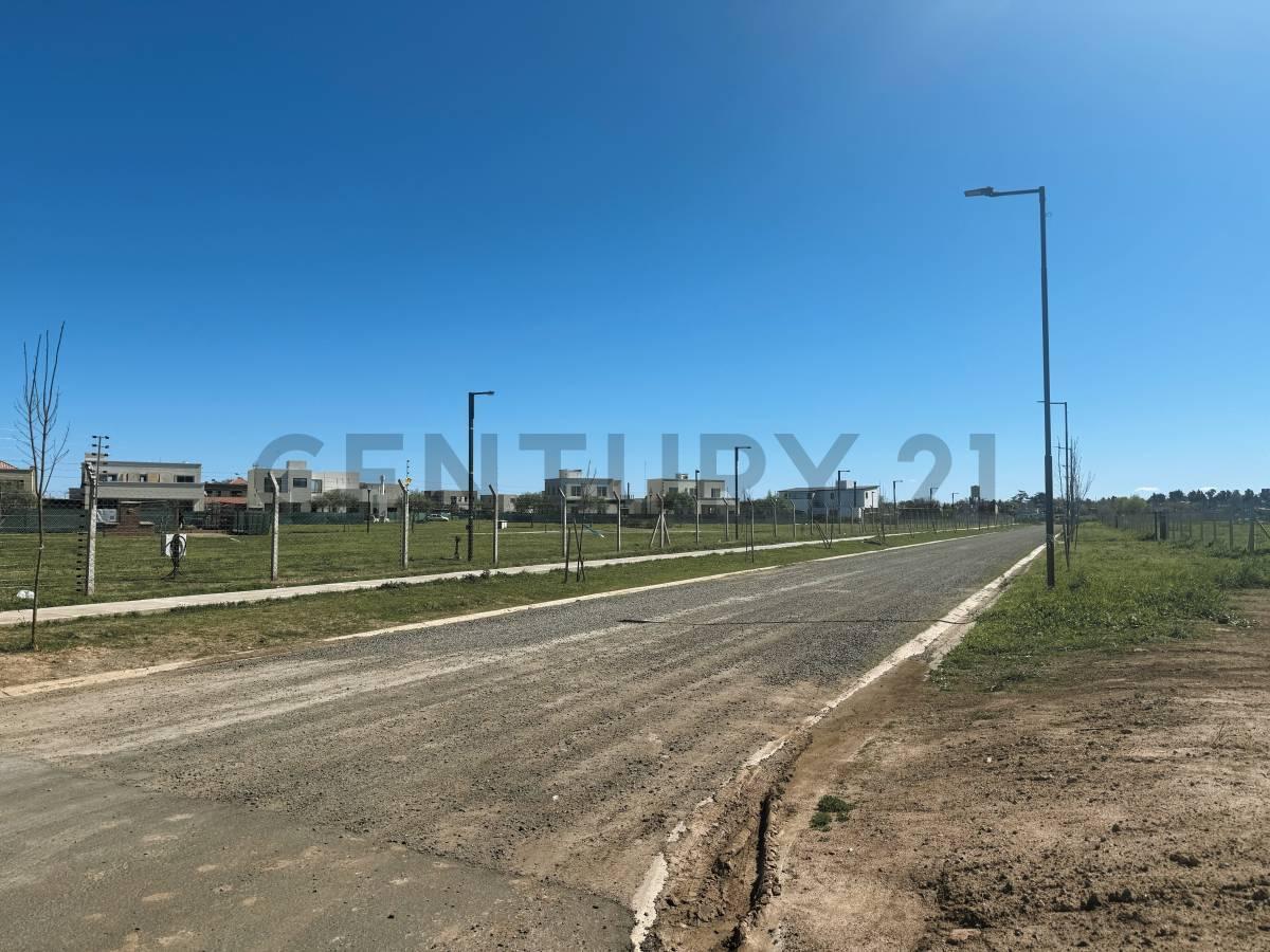 Foto de Lote en Venta, Pueblo Nuevo - Bella Vista, imagen 4