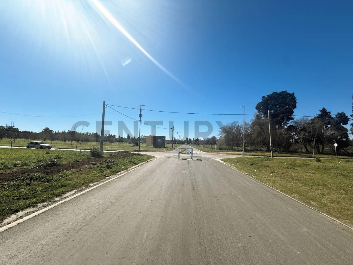 Foto de Lote en Venta, Pueblo Nuevo - Bella Vista, imagen 2