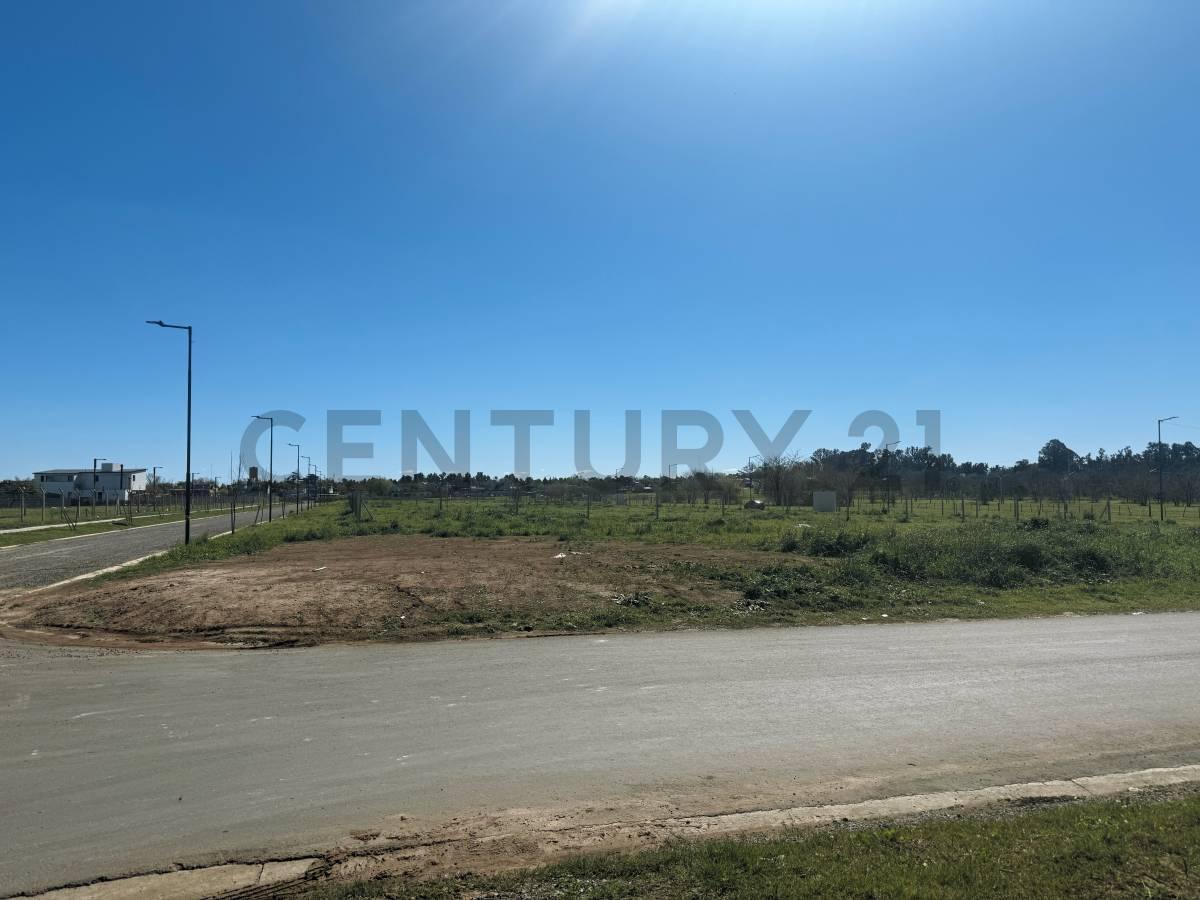 Foto de Lote en Venta, Pueblo Nuevo - Bella Vista, imagen 1