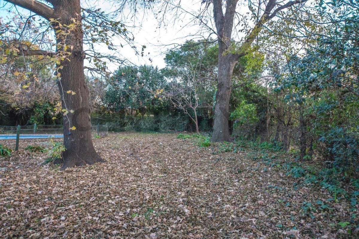Foto de VENTA LOTE EN BELLA VISTA, imagen 4