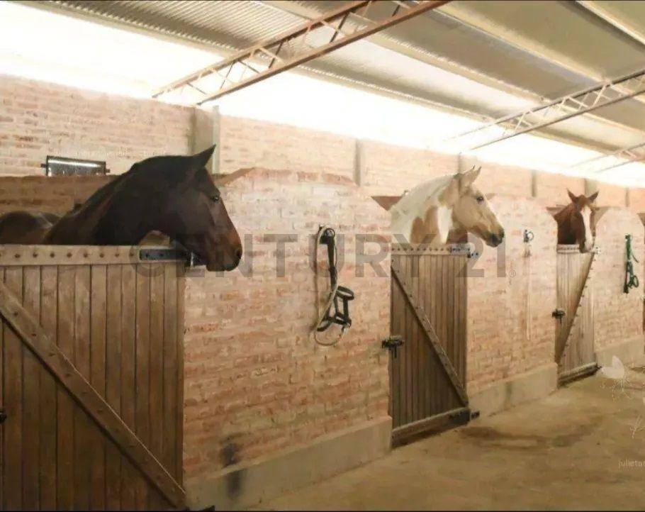Foto de Venta, Lote en San Sebastián, Escobar, imagen 5