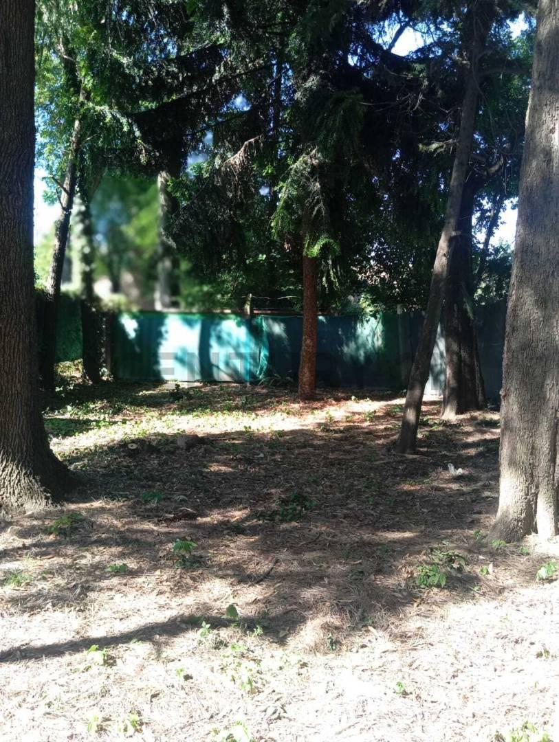 Foto de VENTA LOTE TERRENO EN BELLA VISTA BARRIO CON PORTON PUEBLO VIEJO, imagen 3