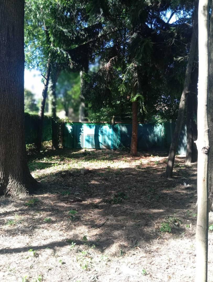 Foto de VENTA LOTE TERRENO EN BELLA VISTA BARRIO CON PORTON PUEBLO VIEJO, imagen 5