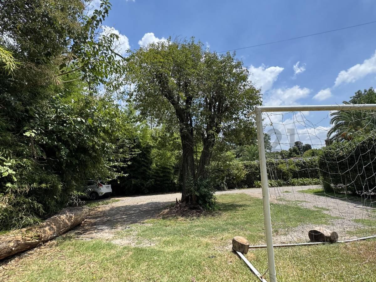 Foto de Venta de lote en Bella Vista, imagen 2
