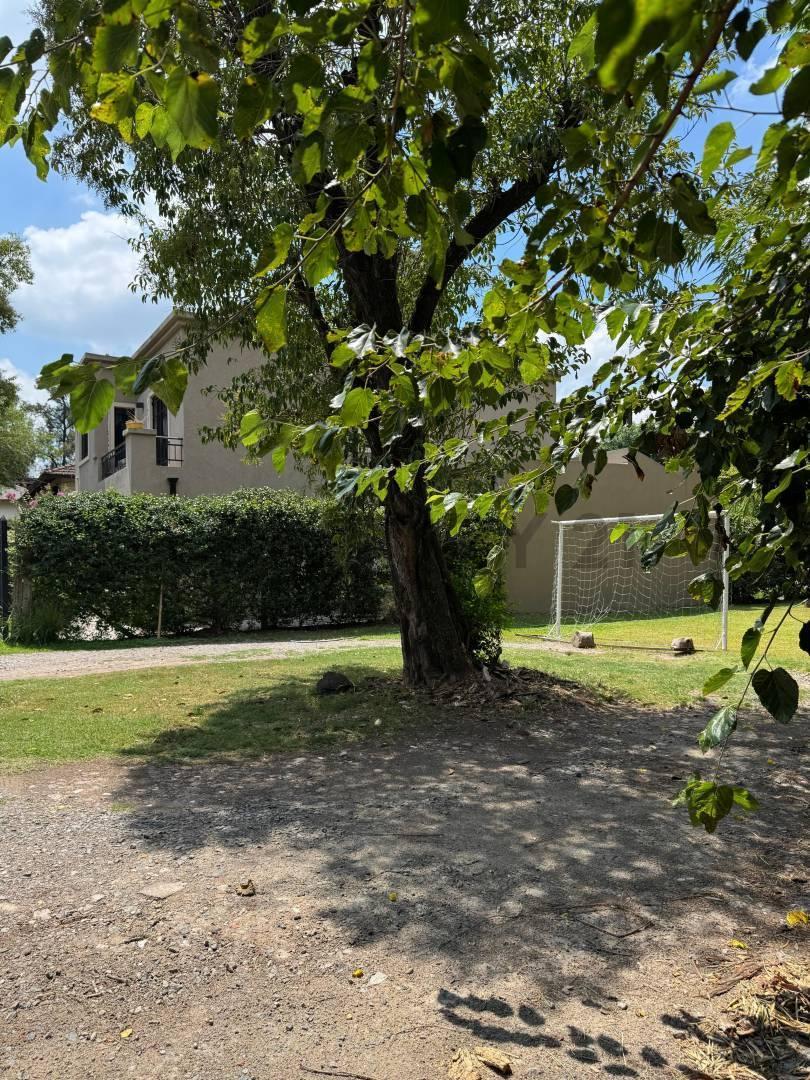 Foto de Venta de lote en Bella Vista, imagen 3