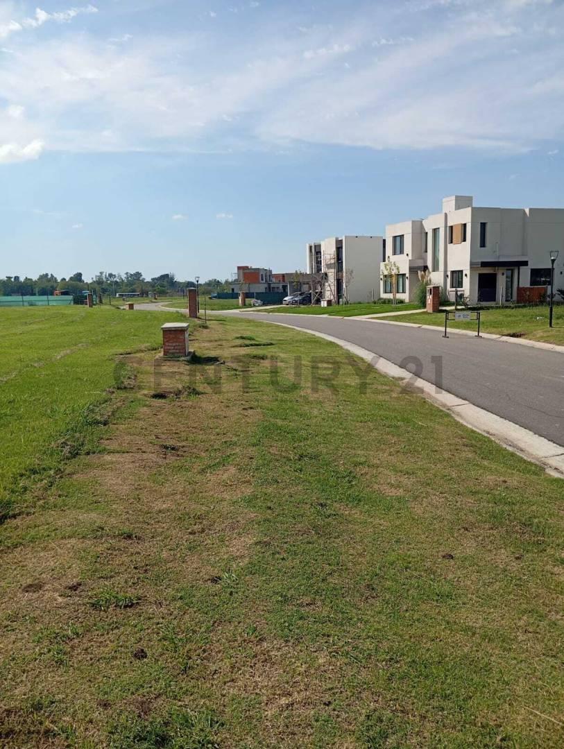 Foto de LOTE EN VENTA BELLA VISTA VILLAGE JOVEN, imagen 3