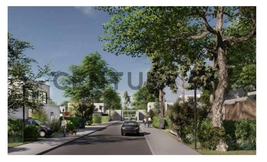 Foto de LOTE EN VENTA, imagen 3
