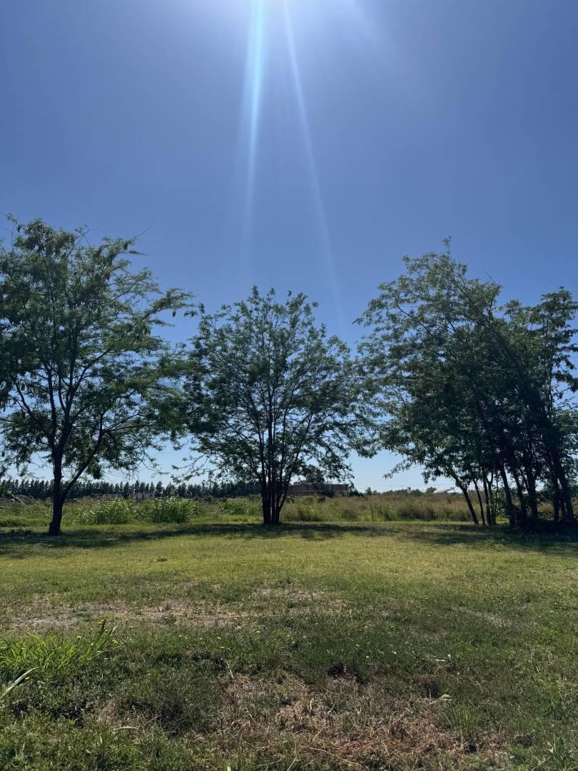 Foto de LOTE EN VENTA, imagen 5