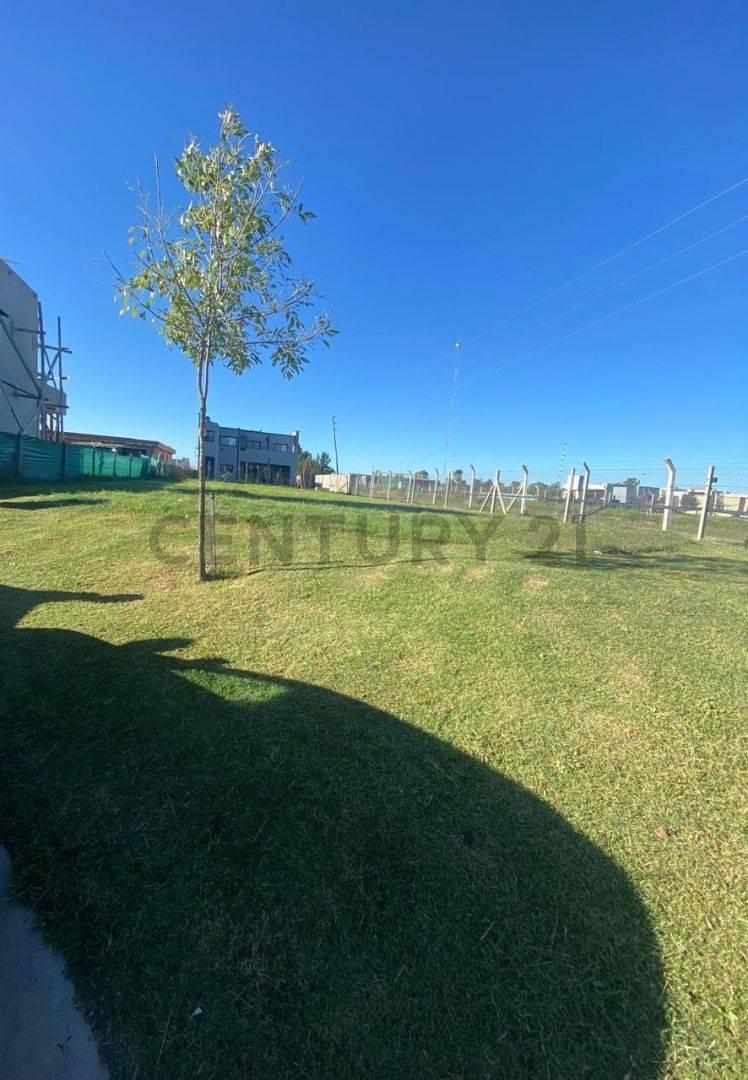 Foto de Lote en venta, imagen 4