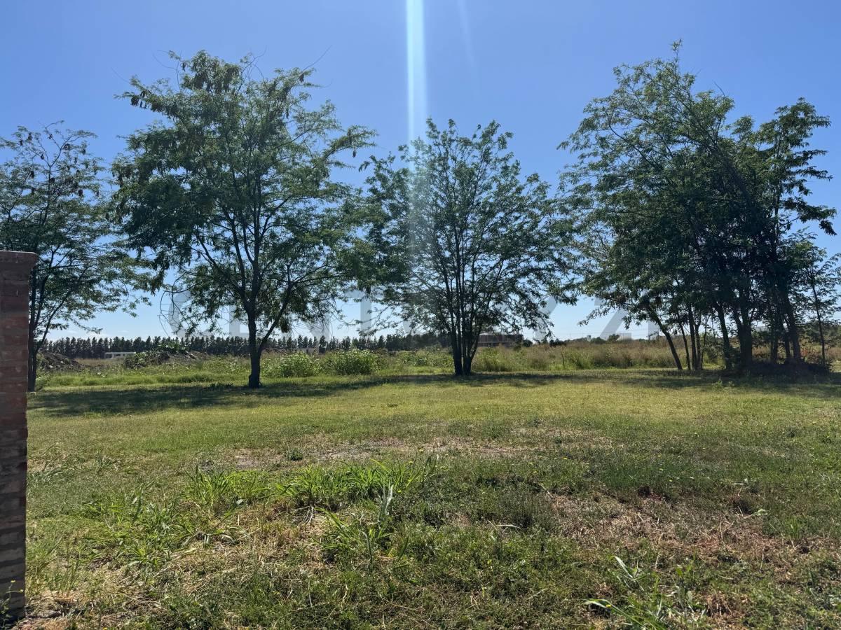 Foto de LOTE EN VENTA, imagen 2