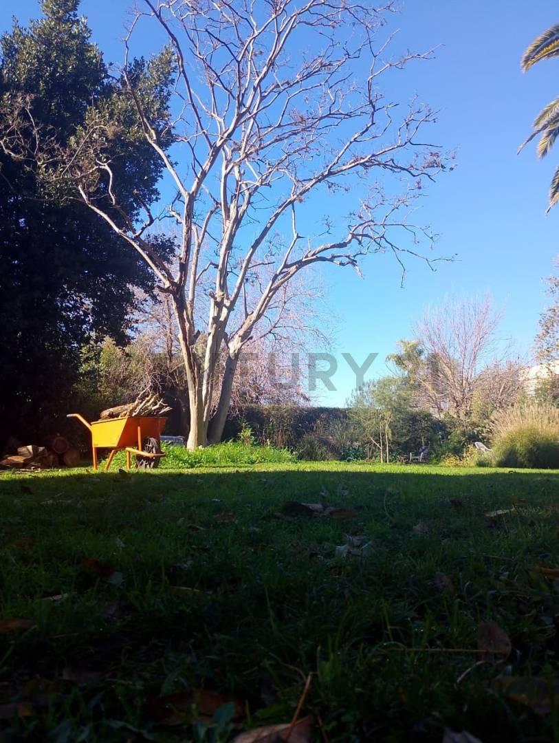 Foto de VENTA DE LOTE EN BELLA VISTA, imagen 5