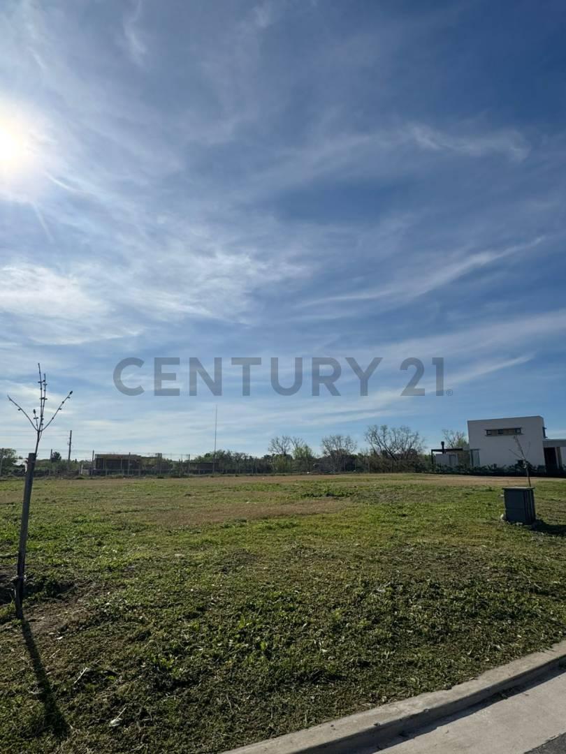 Foto de Venta de lote en Barrio La Huella – Nuevo Bellavista, imagen 5