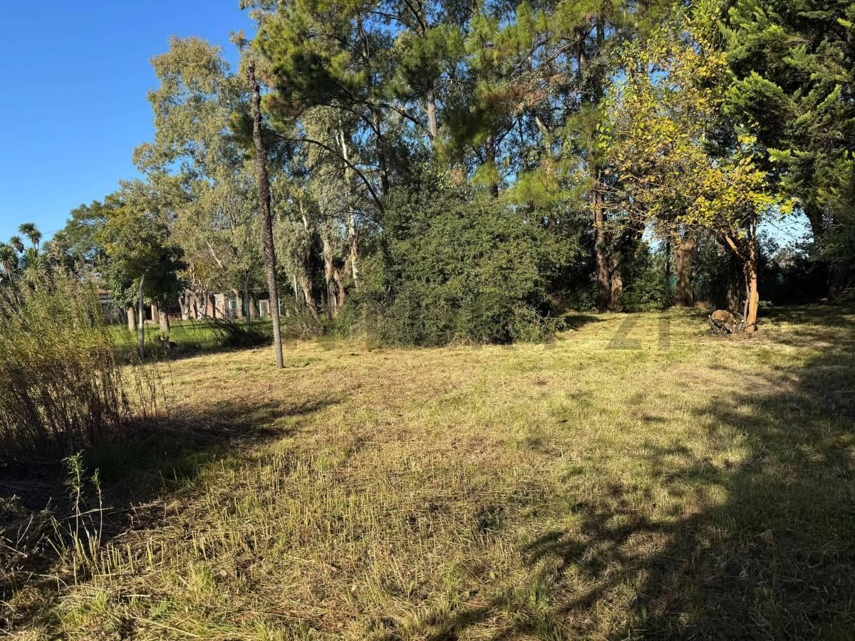 Foto de LOTE EN VENTA MORENO, imagen 5
