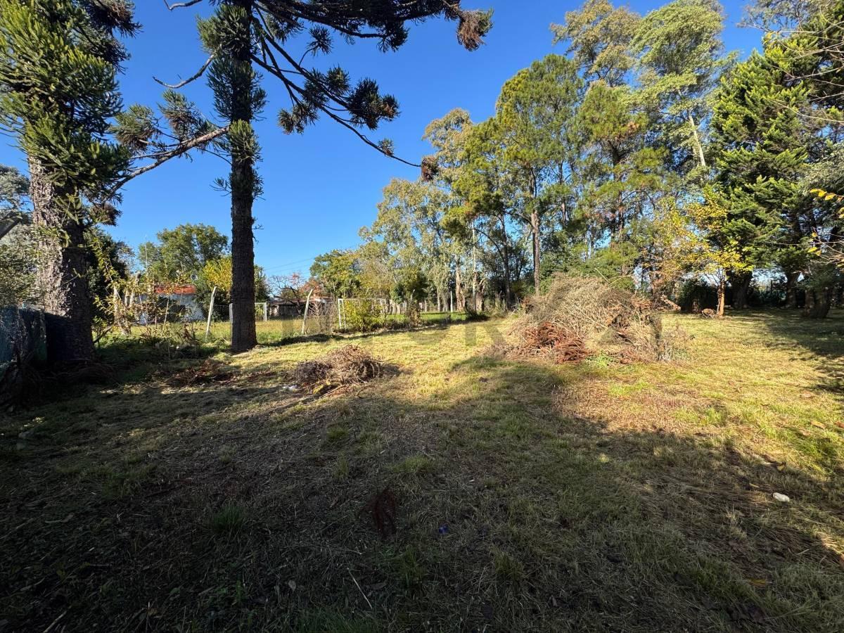 Foto de LOTE EN VENTA MORENO, imagen 1