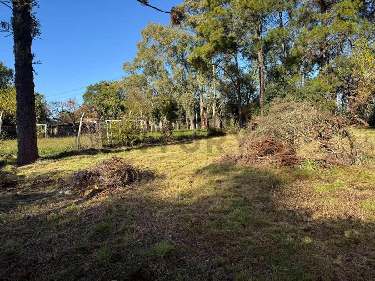 Foto de LOTE EN VENTA MORENO, imagen 4
