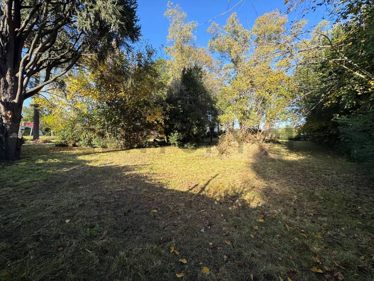 Foto de LOTE EN VENTA MORENO, imagen 2