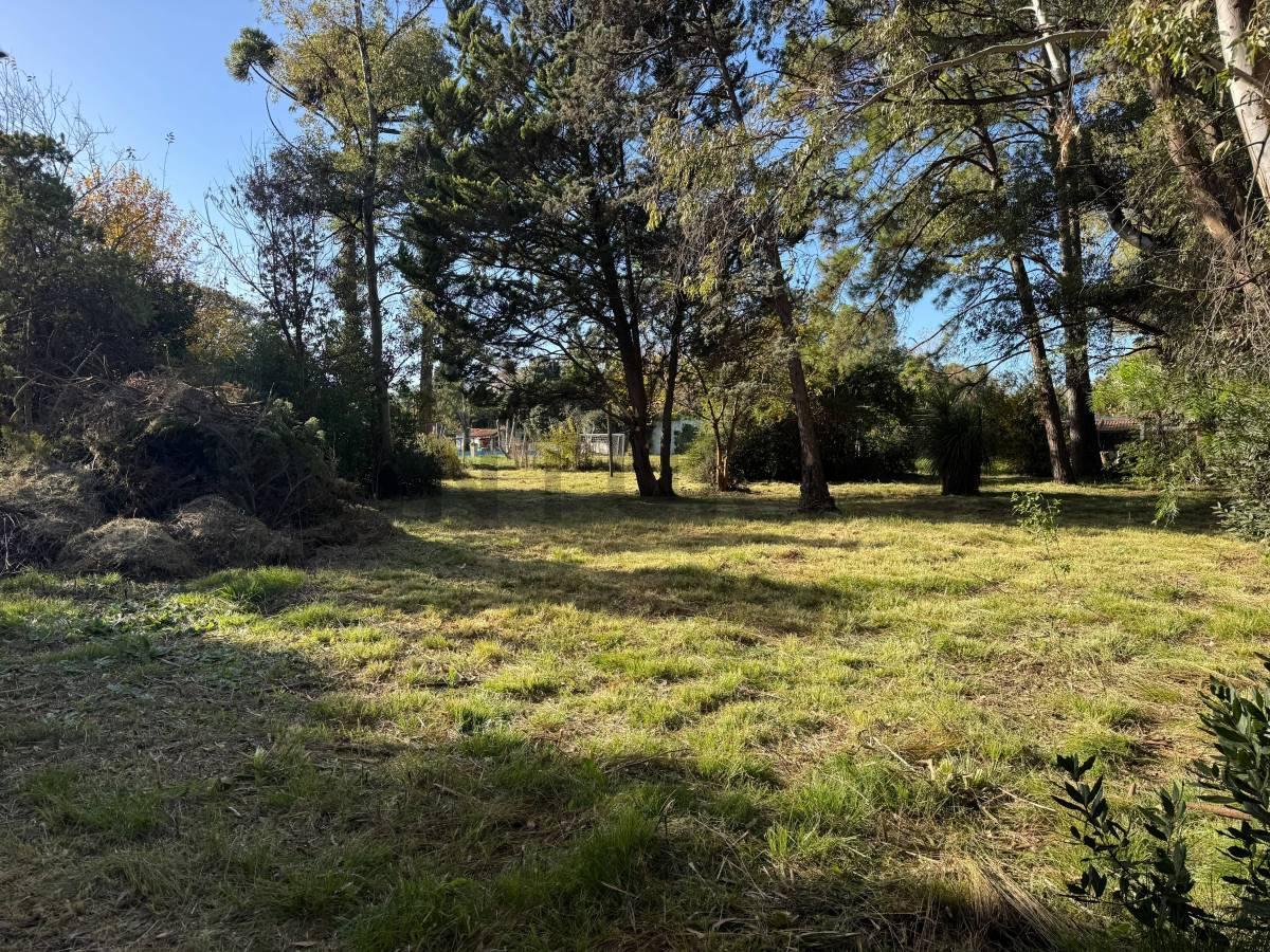 Foto de LOTE EN VENTA MORENO, imagen 3