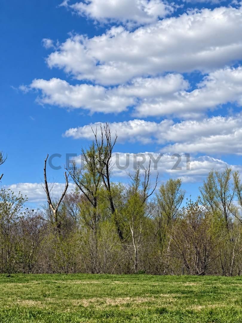 Foto de Lote en venta – Buenos Aires Golf Club | Bella Vista, imagen 5