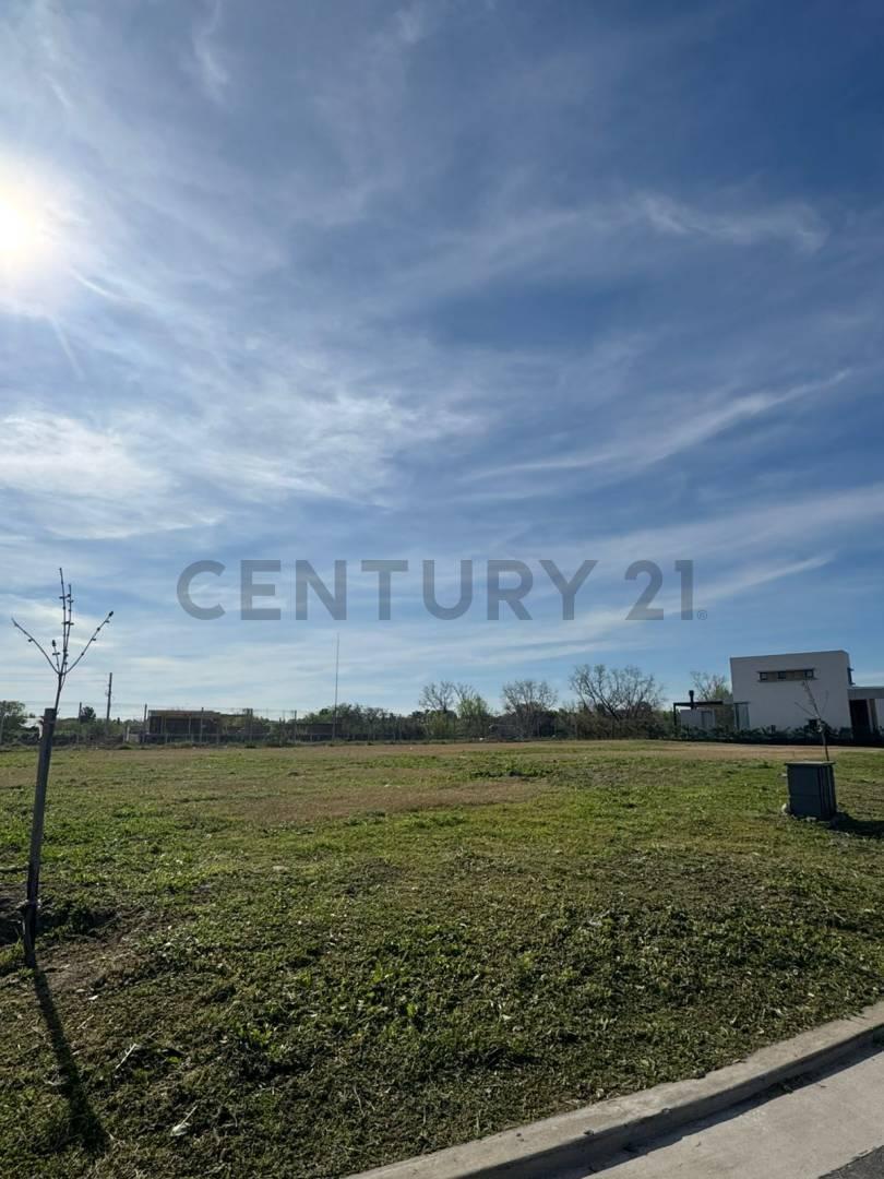 Foto de Venta de lote en Barrio La Huella – Nuevo Bellavista, imagen 4