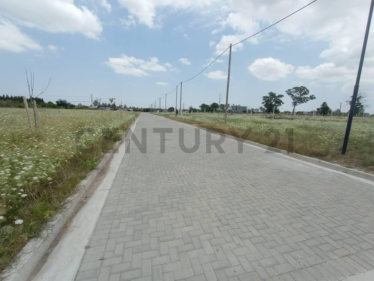 Foto de VENTA TERRENO BELLA VISTA, imagen 3