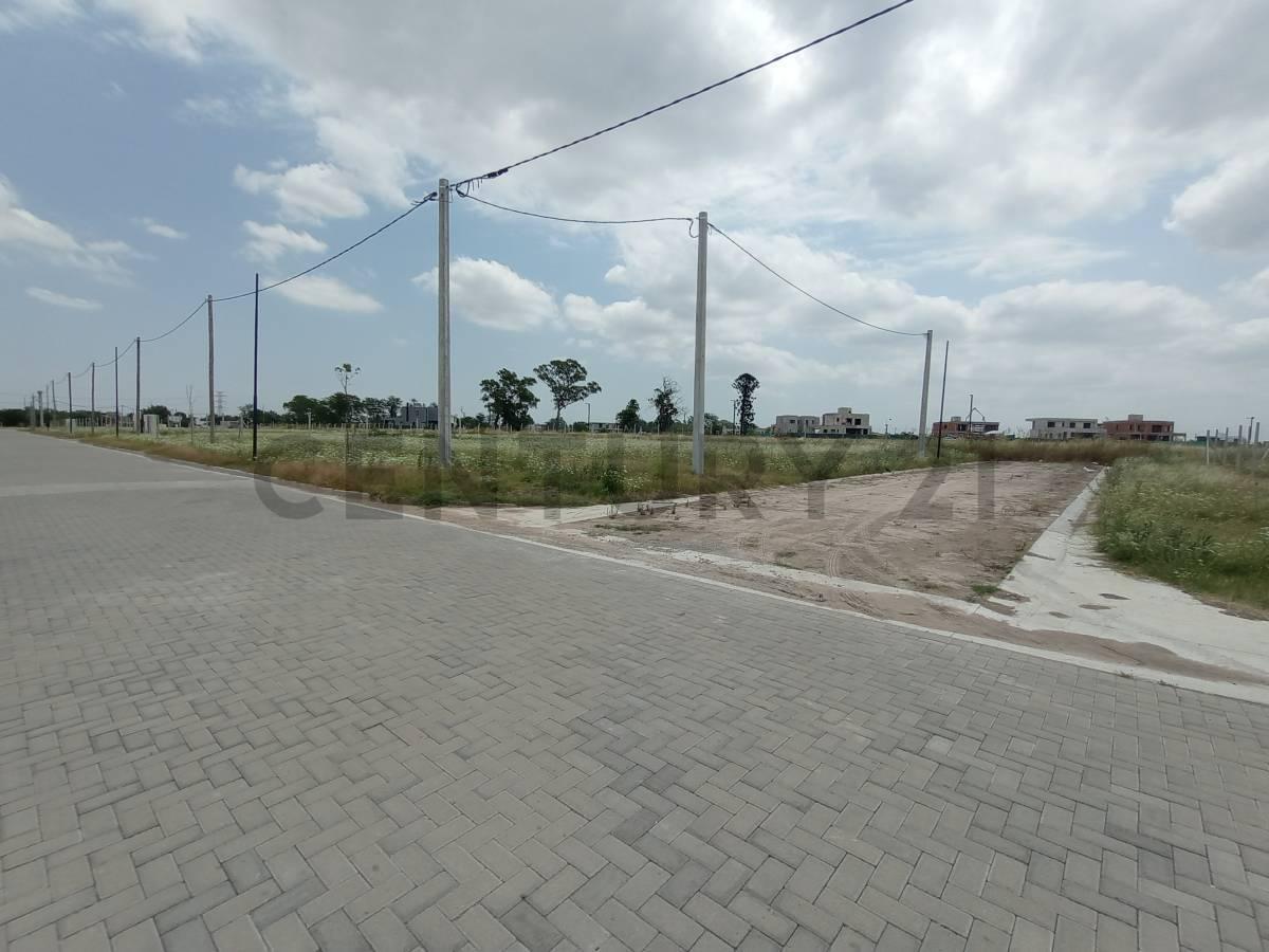Foto de VENTA TERRENO BELLA VISTA, imagen 1