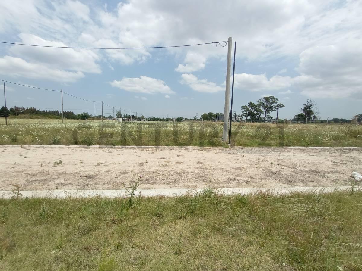Foto de VENTA TERRENO BELLA VISTA, imagen 4