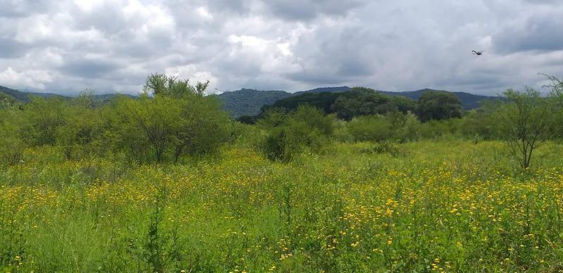 Terrenos en Venta - La Caldera - Salta - 4 Ha 5